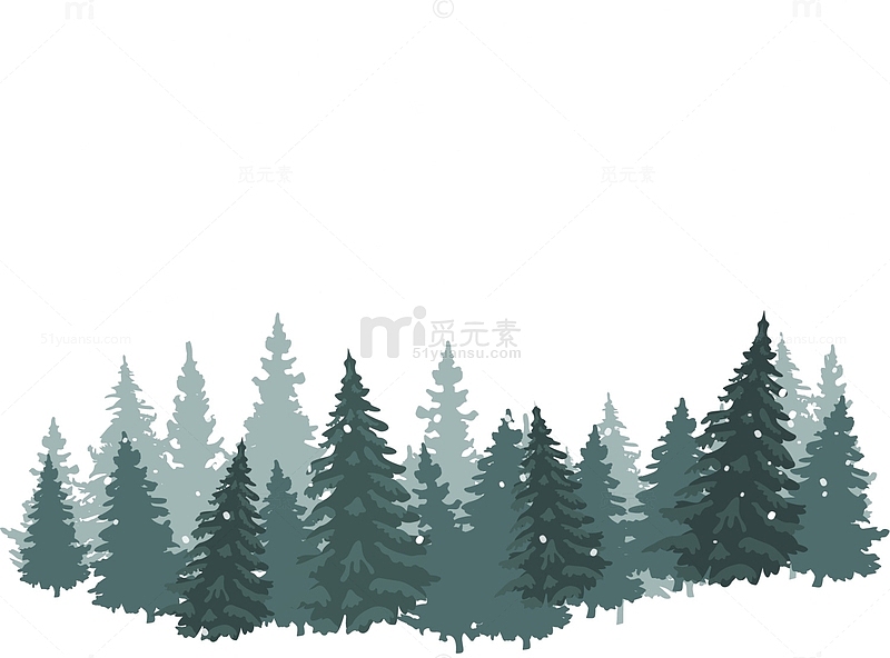 冬季绿色松树树林