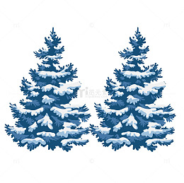 冬季结冰的雪松树木