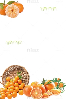 美味柑橘海报插画免抠