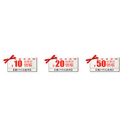 红色图标冬季促销优惠券