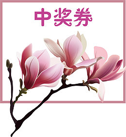 玉兰花背景免抠中奖券