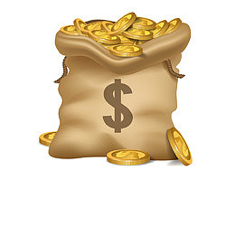 金融理财贷款金币钱袋子