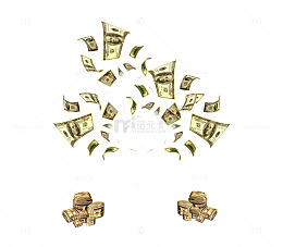 飞舞的money