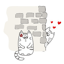 躲在墙角偷看的猫咪