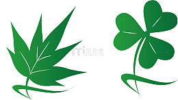 端午节叶子唯美叶子