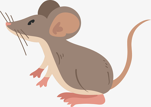 手绘穿着灰色的小老鼠