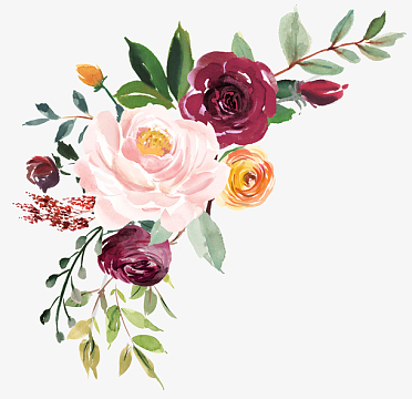 喝彩花素材_喝彩花图片元素-觅元素