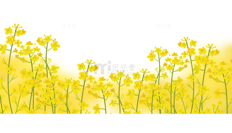 春天油菜花开插画素材免费下载_觅元素