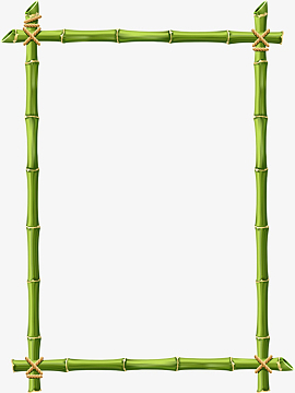 简约竹子边框