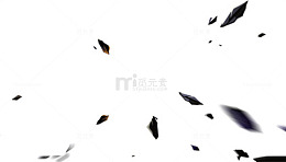 黑色碎屑物