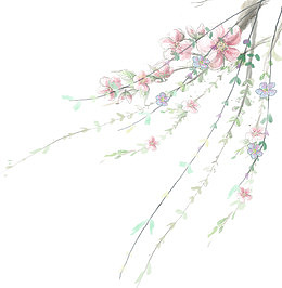 手绘小清新装饰花枝