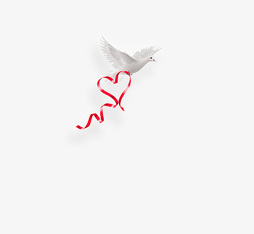 爱心飘带和白色信鸽