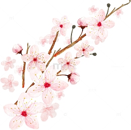 卡通手绘樱花花瓣装饰
