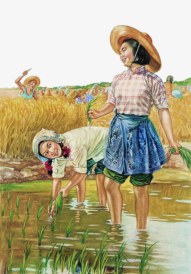 手绘文革时期割麦子的农村妇女