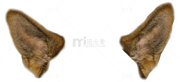 狗耳朵装饰