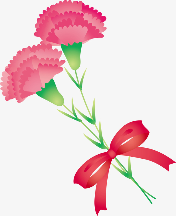 淡紫色上的康乃馨