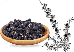 实物黑枸杞简笔画装饰