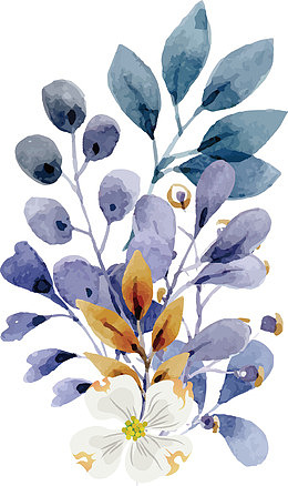 矢量彩色水粉花卉