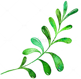 小清新水彩叶子