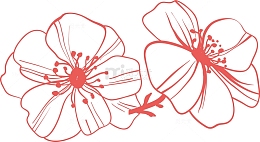 矢量线描桃花花枝花瓣素材