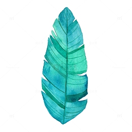 蓝色水彩叶子手绘水彩小清新植物