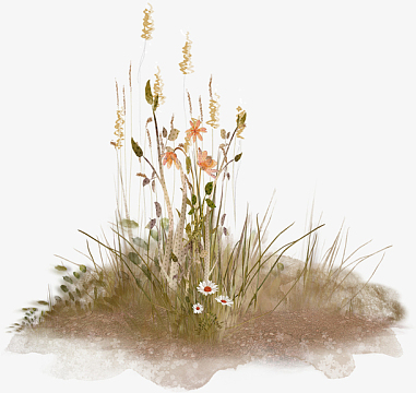 花草抠图素材_花草抠图图片元素-觅元素
