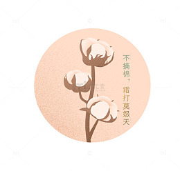 不摘棉 霜打莫怨天