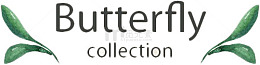 手绘树叶butterfly字体