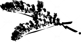 水墨插画素描笔刷