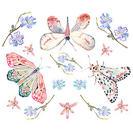 彩绘蝴蝶花纹背景