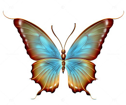 手绘插画蝴蝶png 卡通梦幻蝴蝶