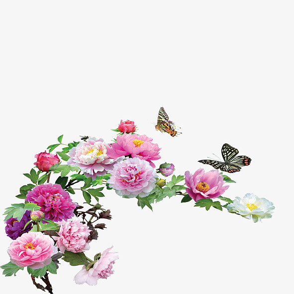 花儿与蝴蝶