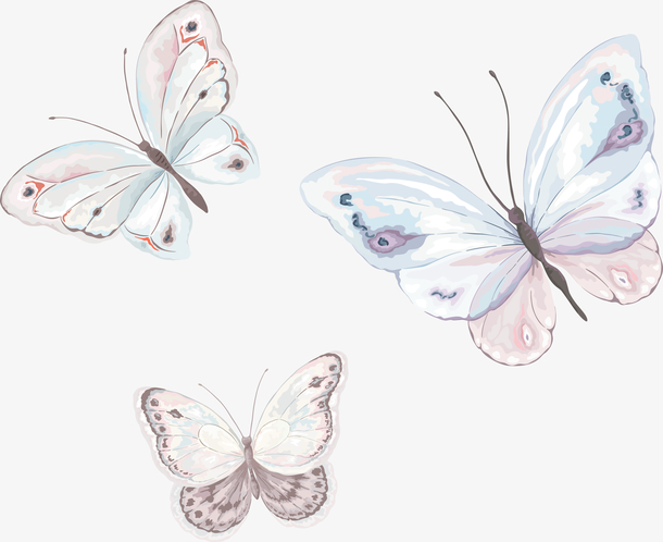 手绘蝴蝶矢量图