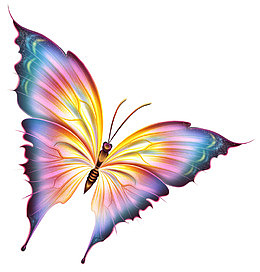 插画彩色蝴蝶 卡通梦幻蝴蝶