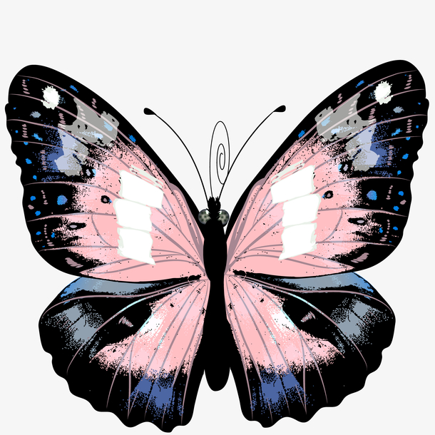 手绘蝴蝶素材免费下载_觅元素