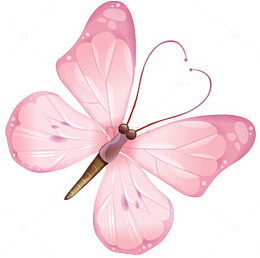 绚丽蝴蝶矢量素材