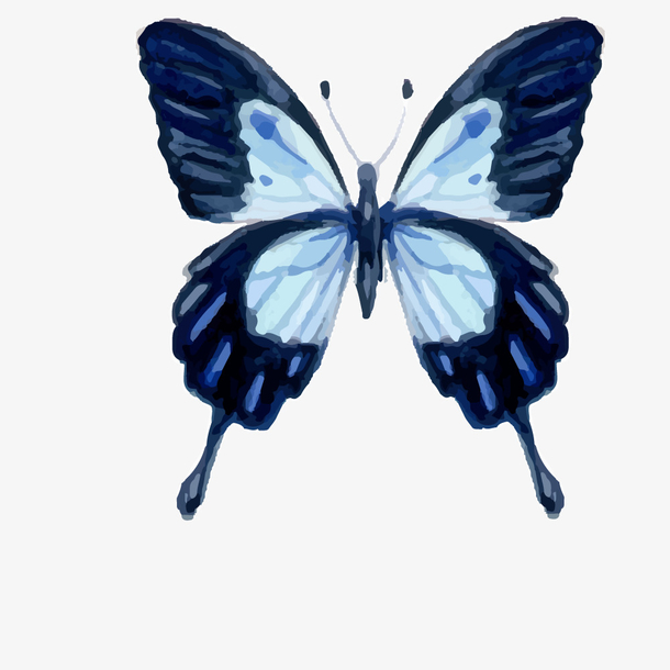 蓝色手绘的小蝴蝶