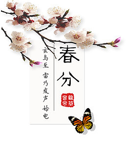 二十四节气之春分花枝与蝴蝶主题