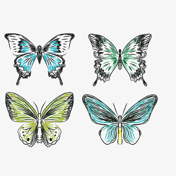 手绘蝴蝶设计矢量素材