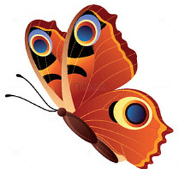 绚丽蝴蝶矢量素材