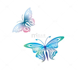 绚丽蝴蝶