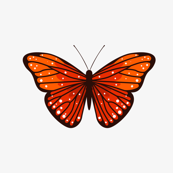 卡通蝴蝶矢量图下载素材免费下载_觅元素