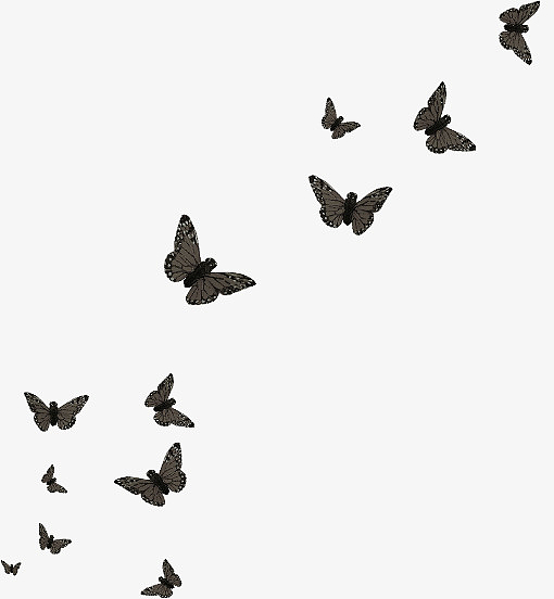 一群蝴蝶