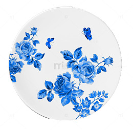 一个漂亮的盘子