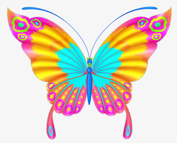 彩色蝴蝶