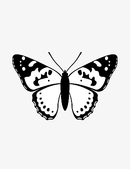 蝴蝶 黑白 简笔画 剪纸剪影