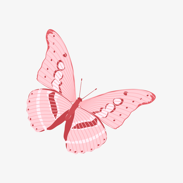 手绘蝴蝶素材免费下载_觅元素