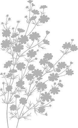 矢量手绘装饰线描花朵图案