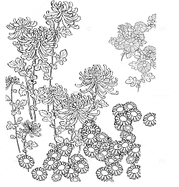 矢量手绘装饰线描菊花图案