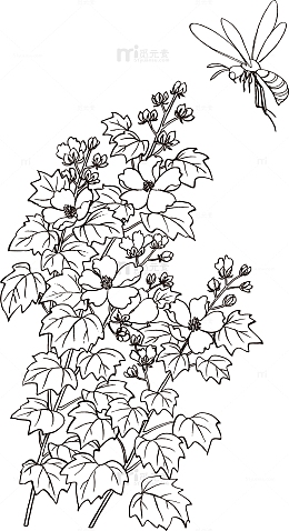 矢量手绘装饰线描花卉蜜蜂图案